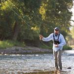 Montana Angler