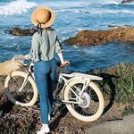 Mad Dogs & Englishmen Bike Shop
