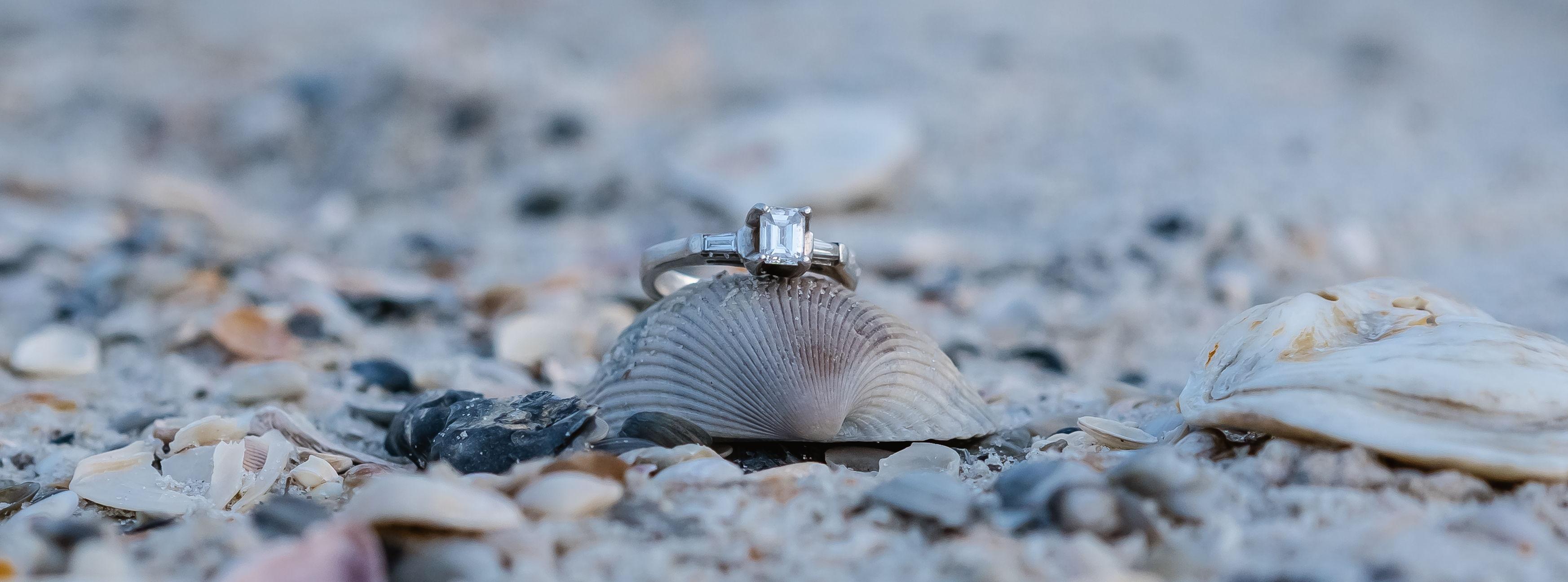 The Wedding Website of Emily Hedrick and David Curran