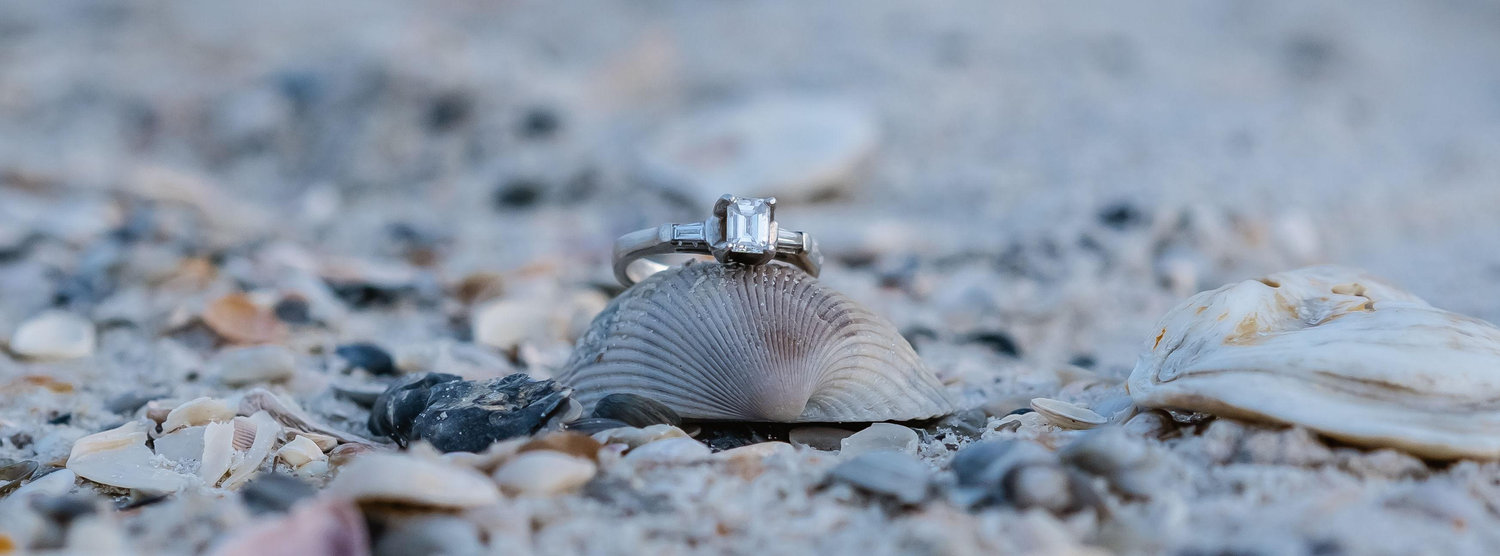 The Wedding Website of Emily Hedrick and David Curran