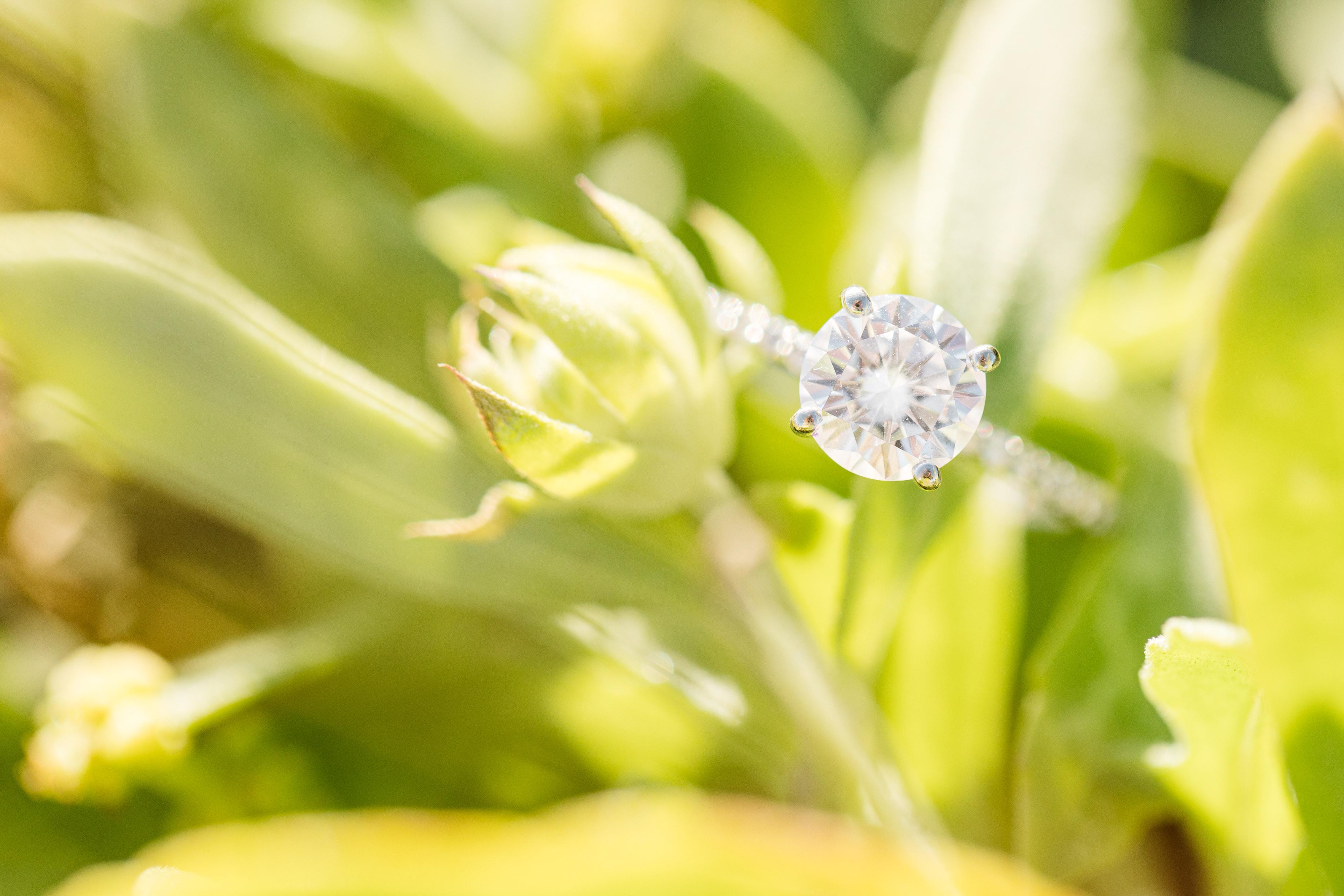 The Wedding Website of Tatiana Rotondo and Eric Ecklund