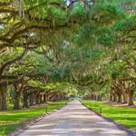 Magnolia Plantation