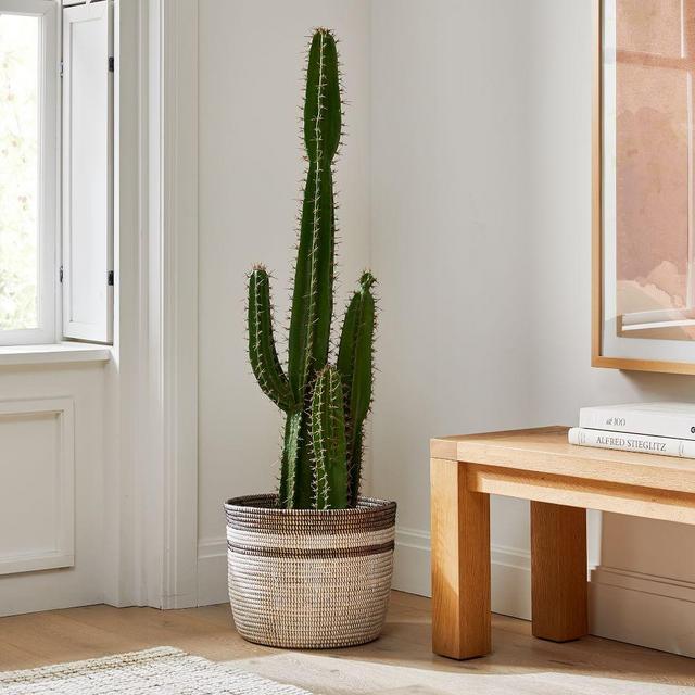 Faux Cactus & Colorblock Basket Floor Planter Set