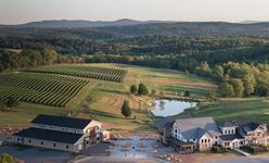 Stone Tower Winery