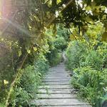 Hike the Clay Head Trail