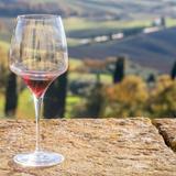Bernhardt Winery