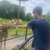 Keystone Safari