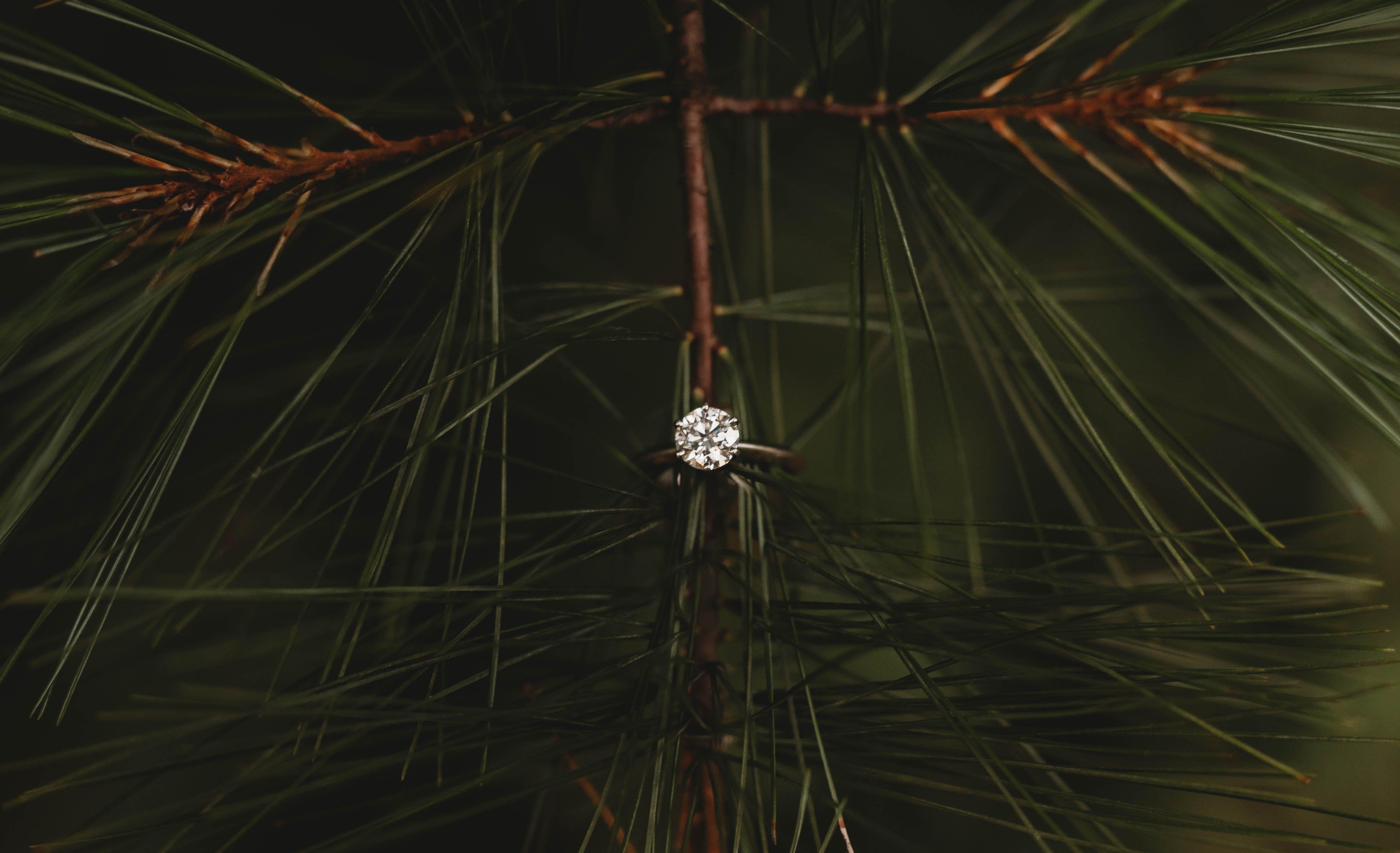 The Wedding Website of Melissa Drouillard and Anthony Root