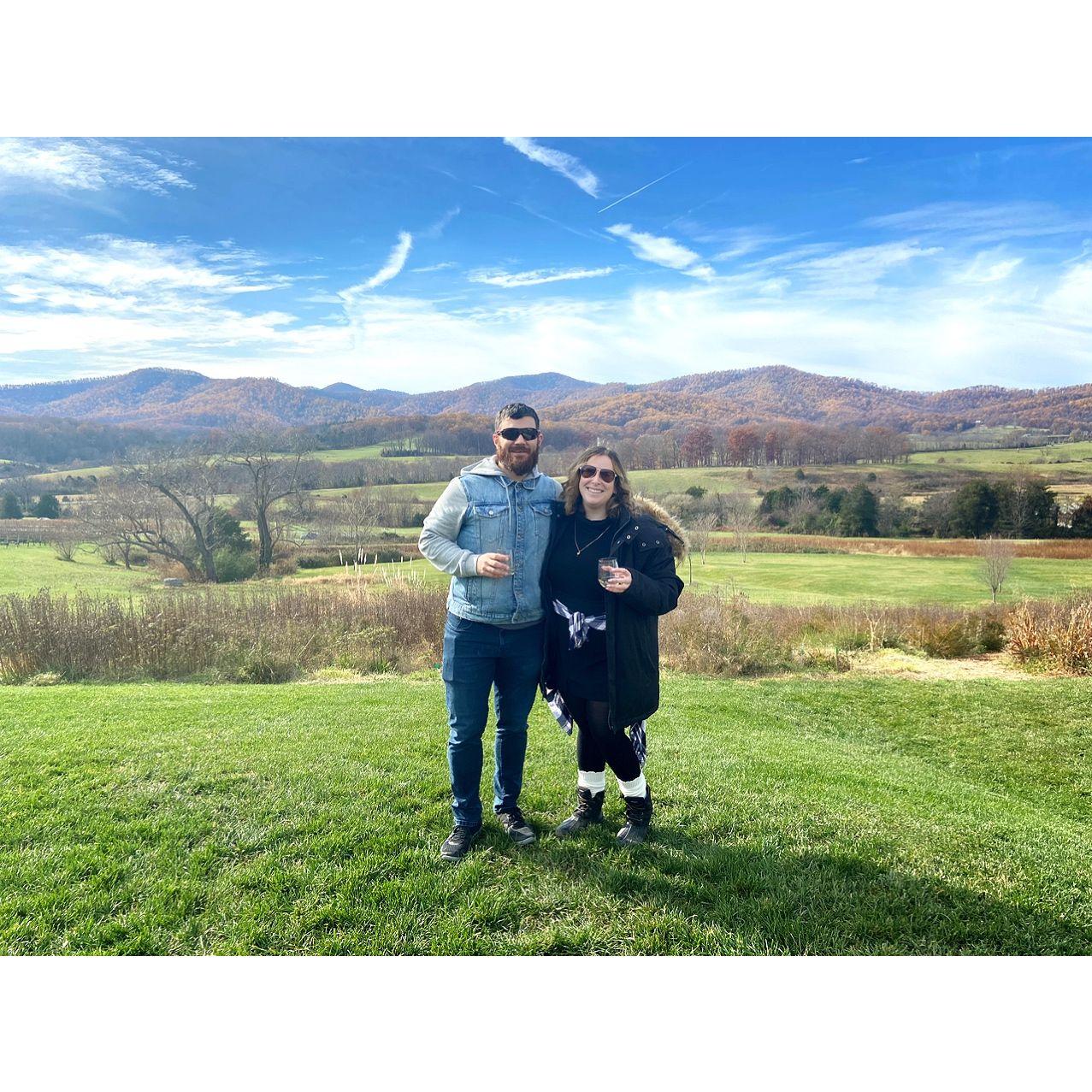 Pippin Hill Vineyard
