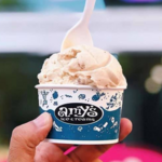 Amy's Ice Creams