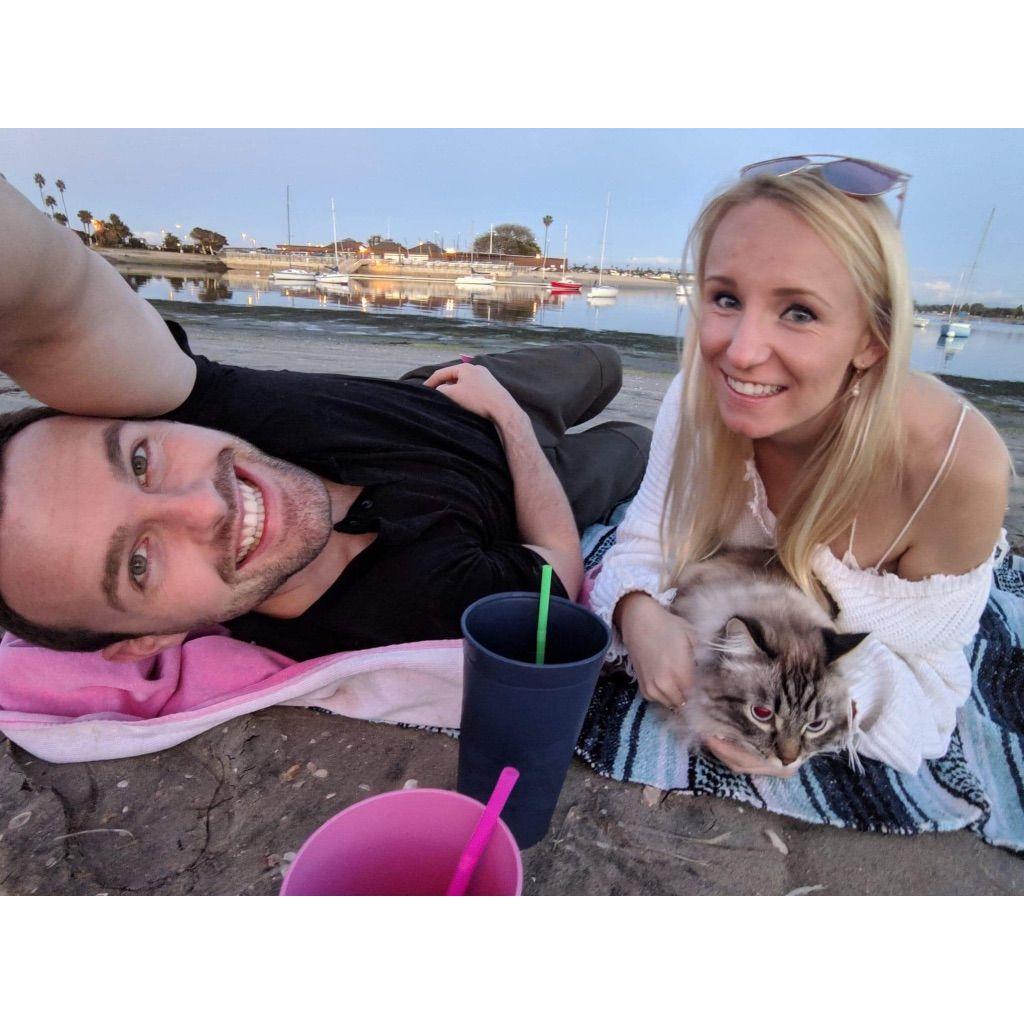 The best day to have a beach picnic with your cat is every day <3