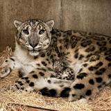 John Ball Zoo