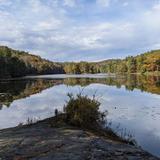 Catamount State Forest