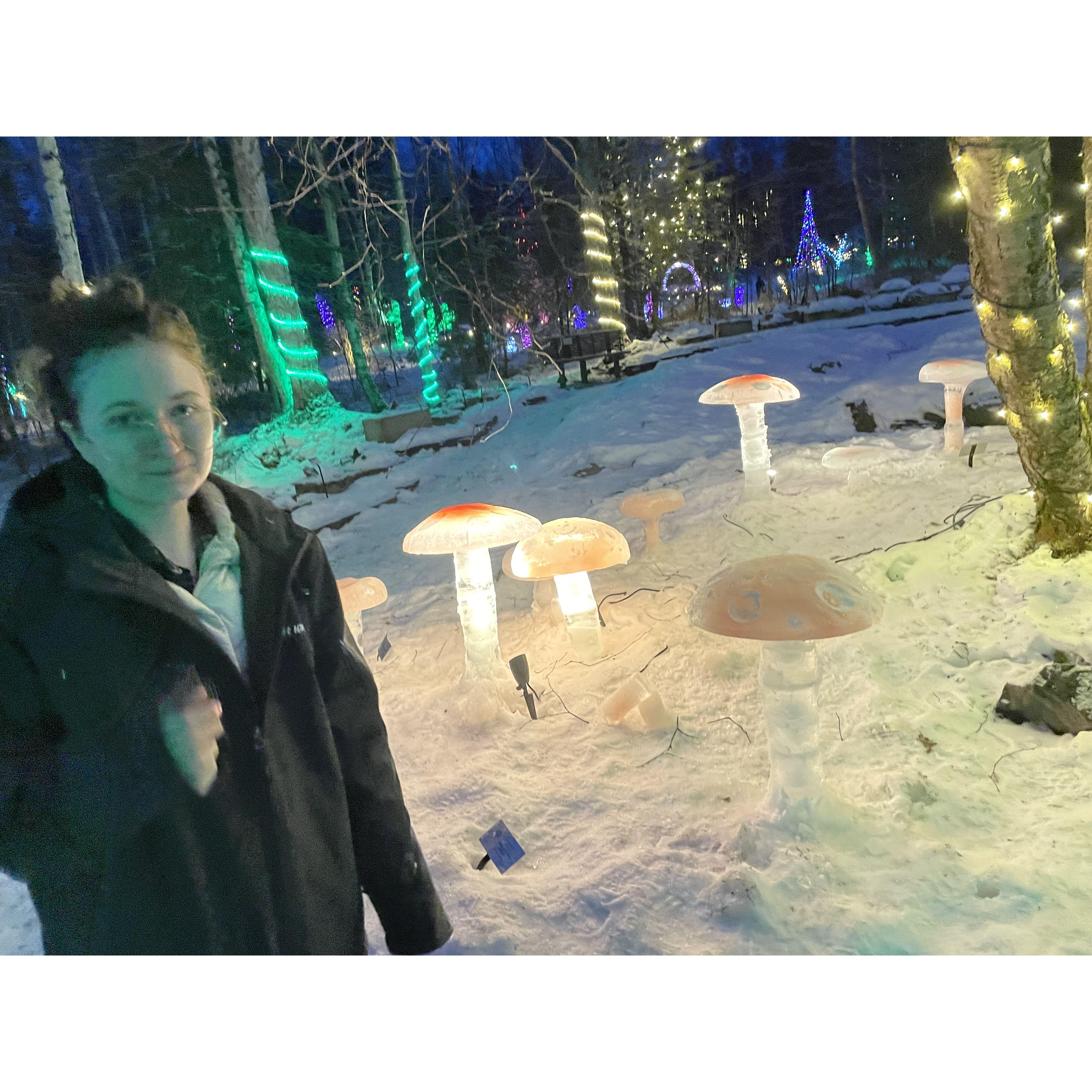 Ice sculptures at the Botanical Gardens in Anchorage