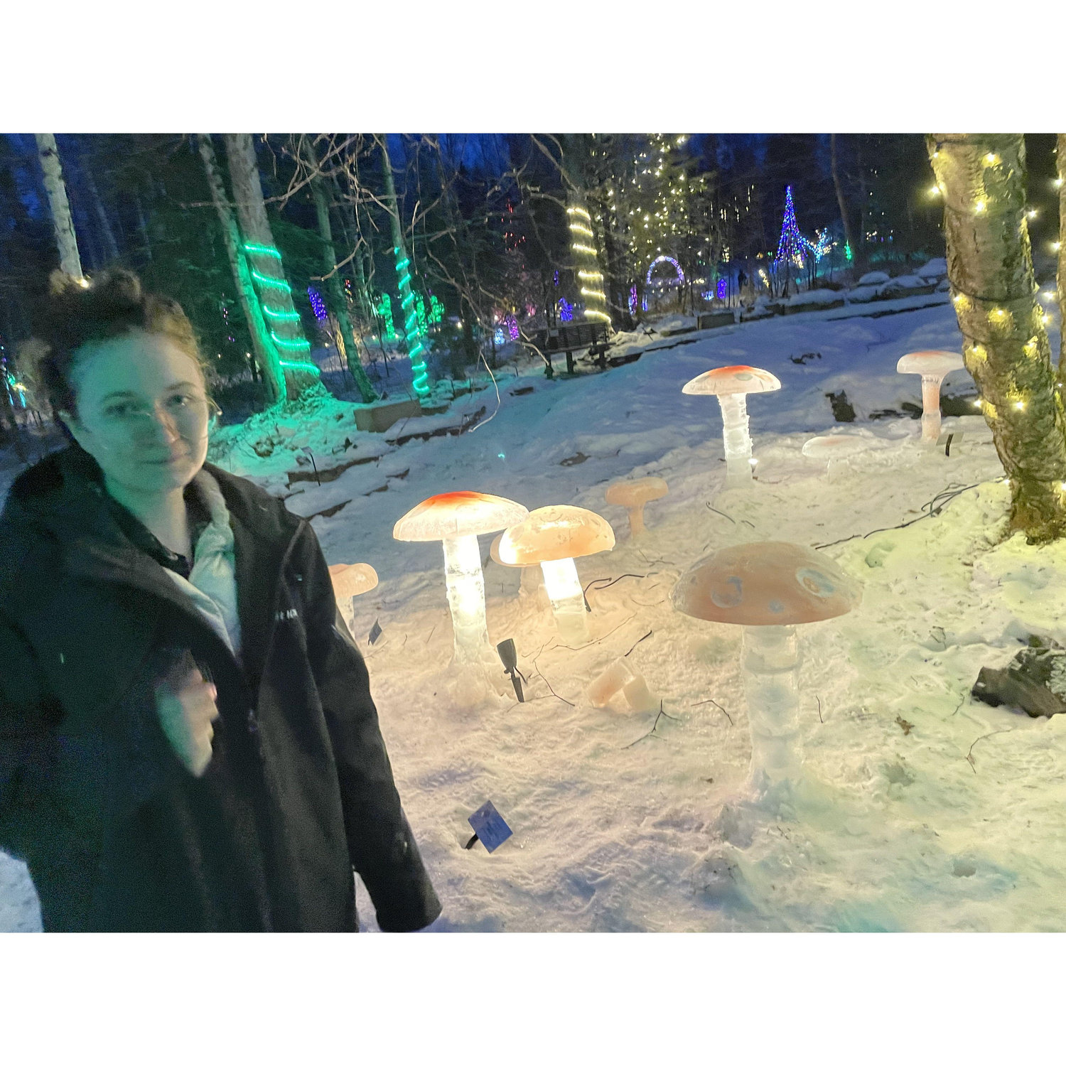 Ice sculptures at the Botanical Gardens in Anchorage