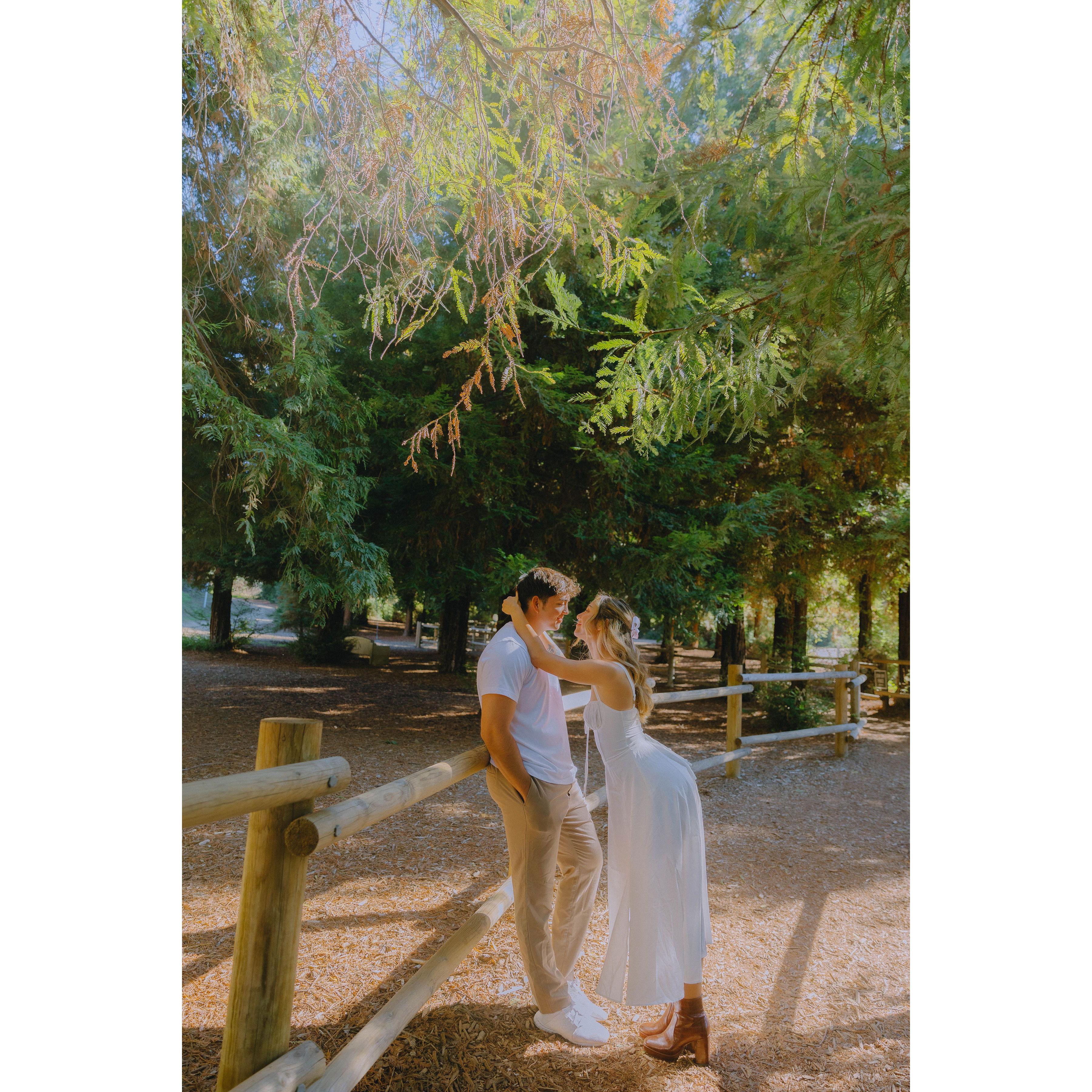 Engagement Shoot