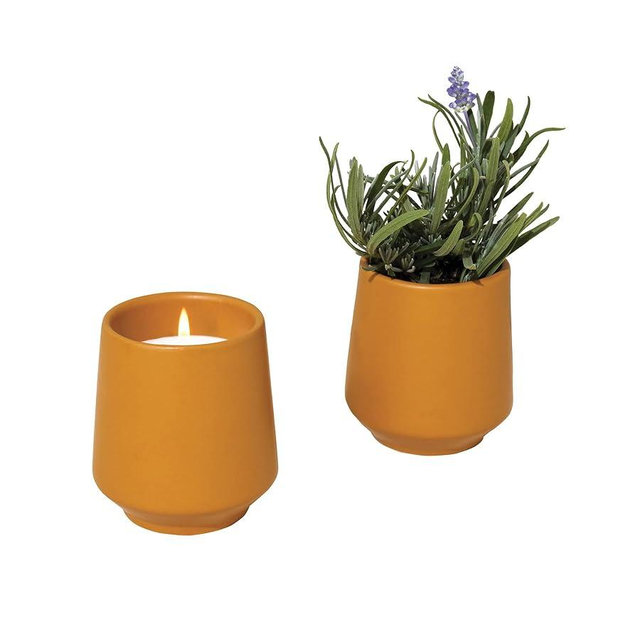 Modern Sprout Rooted Candle Grow Set, Indoor Herb Garden, Seed Starter Set, Organic, Non-GMO, Lavendar & Cedarwood
