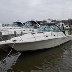 Salmon Hunter Charters