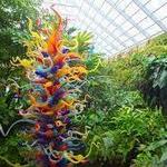 Fairchild Tropical Botanic Garden
