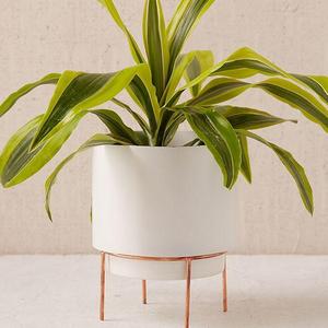 Adelphi 6" Planter