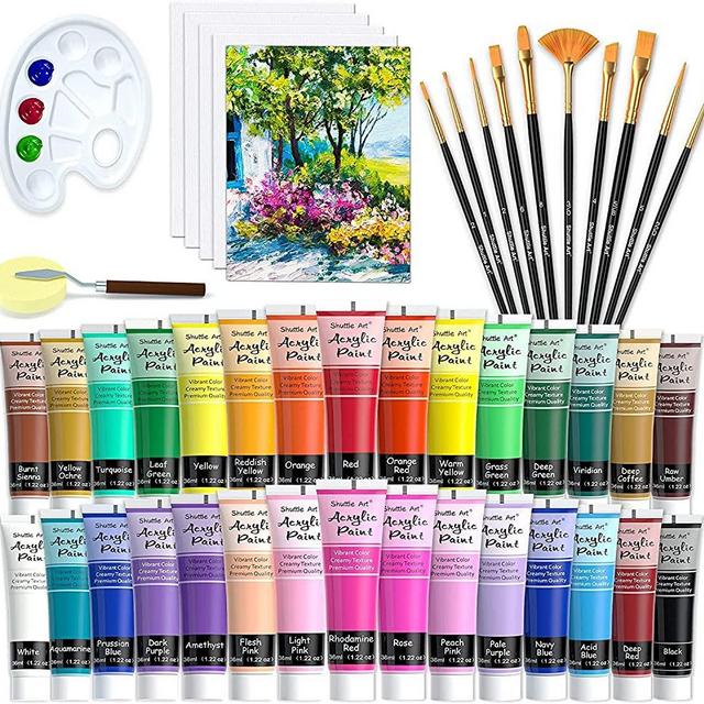 48 Pack Acrylic Paint Set, Shuttle Art 30 Colors Acrylic Paint (36ml) with 10 Brushes 5 Canvas 1 Paint Knife 1 Palette 1 Sponge, Complete Set for Kids, Adults Painting on Canvas Rocks Wood Ceramic