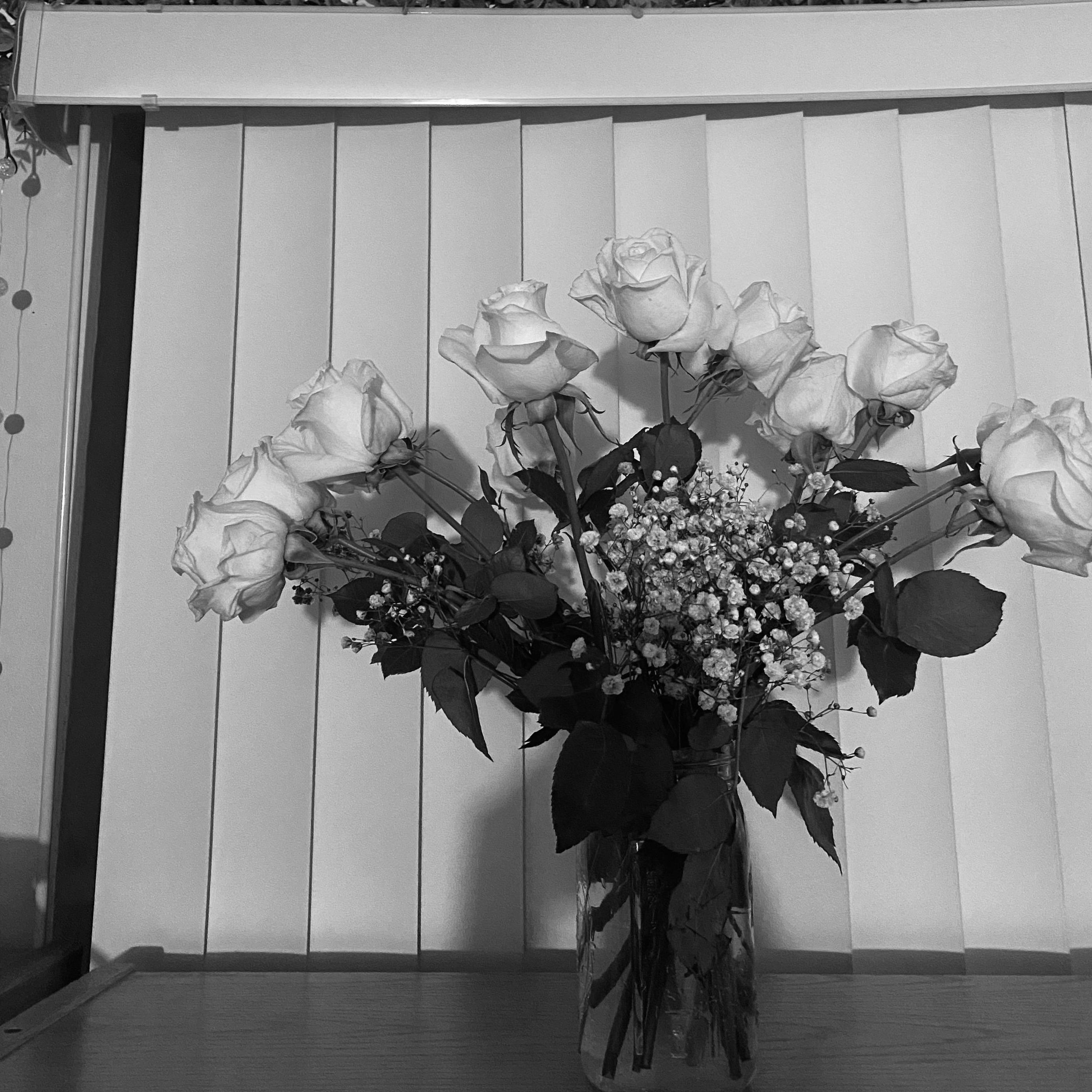 January 2020: Brennan asked me to be his girlfriend! This is the only photo I have from that day. It was a special one (Grand Rapids, Michigan)