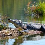 Everglades National Park