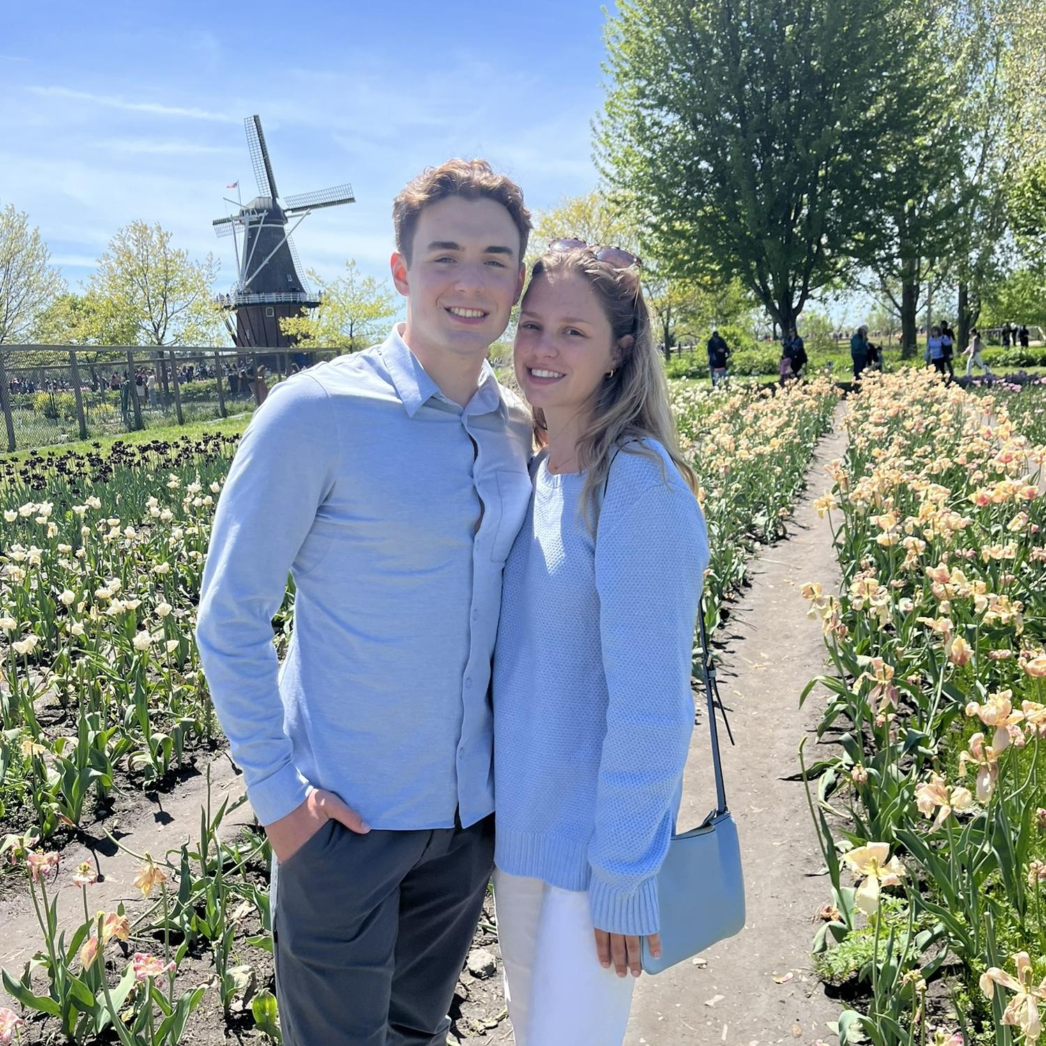 Tulips in holland Michigan in May of 2024