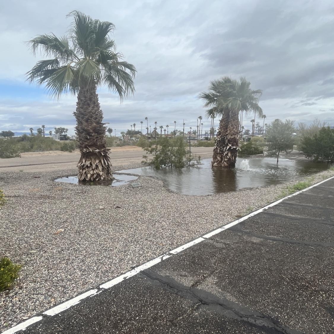 Walking Lake Havasu