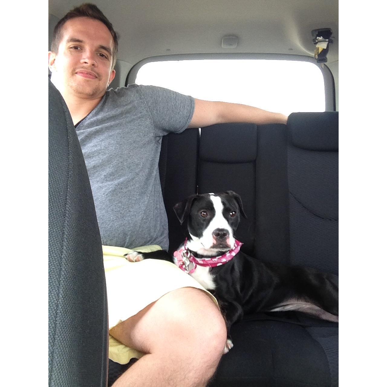Bringing Lucie home!