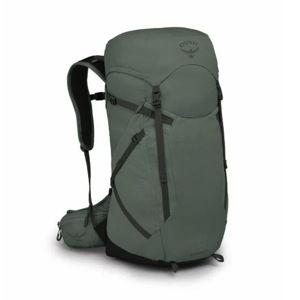 Osprey Sportlite™ 30 Hiking Backpack (Color: Pine Leaf Green)
