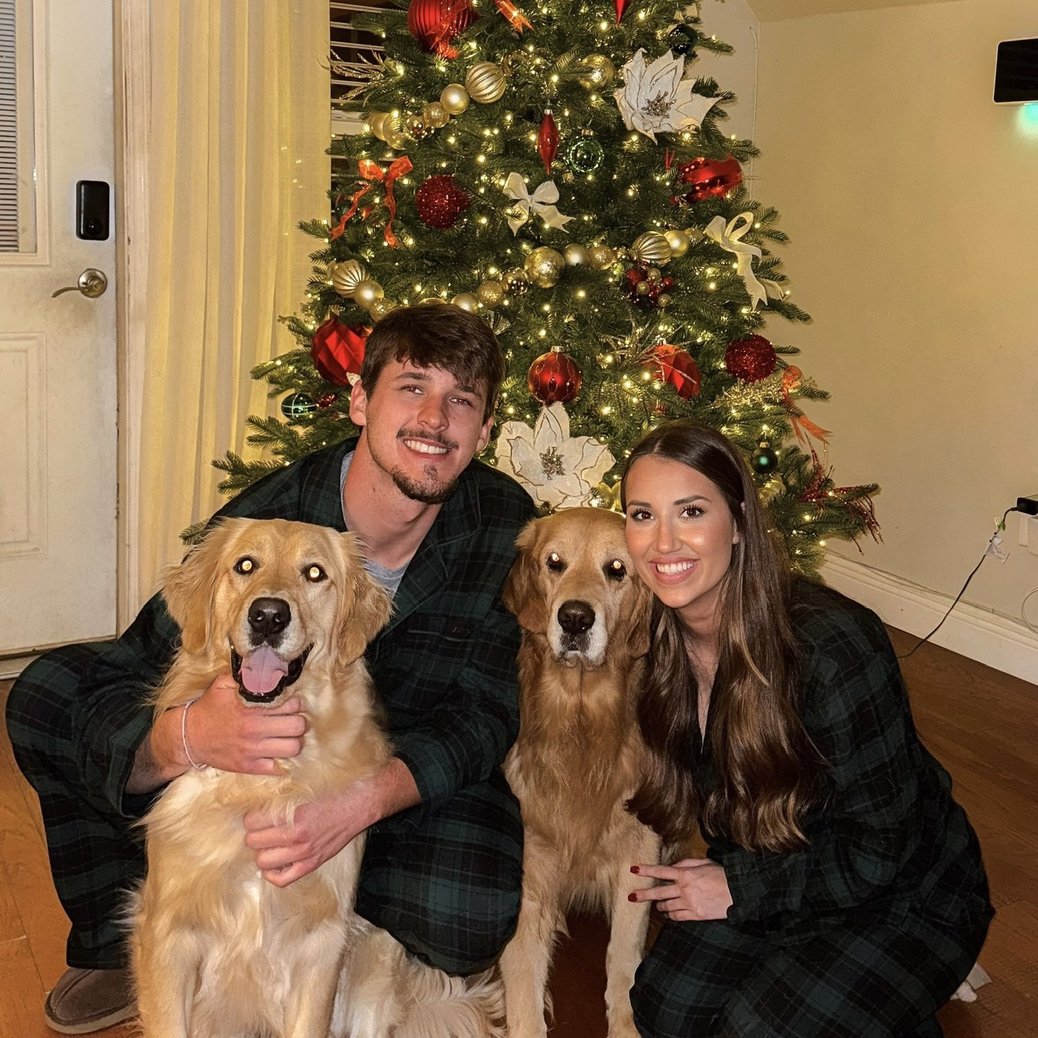 Our two angel goldens, Baylee & Trip