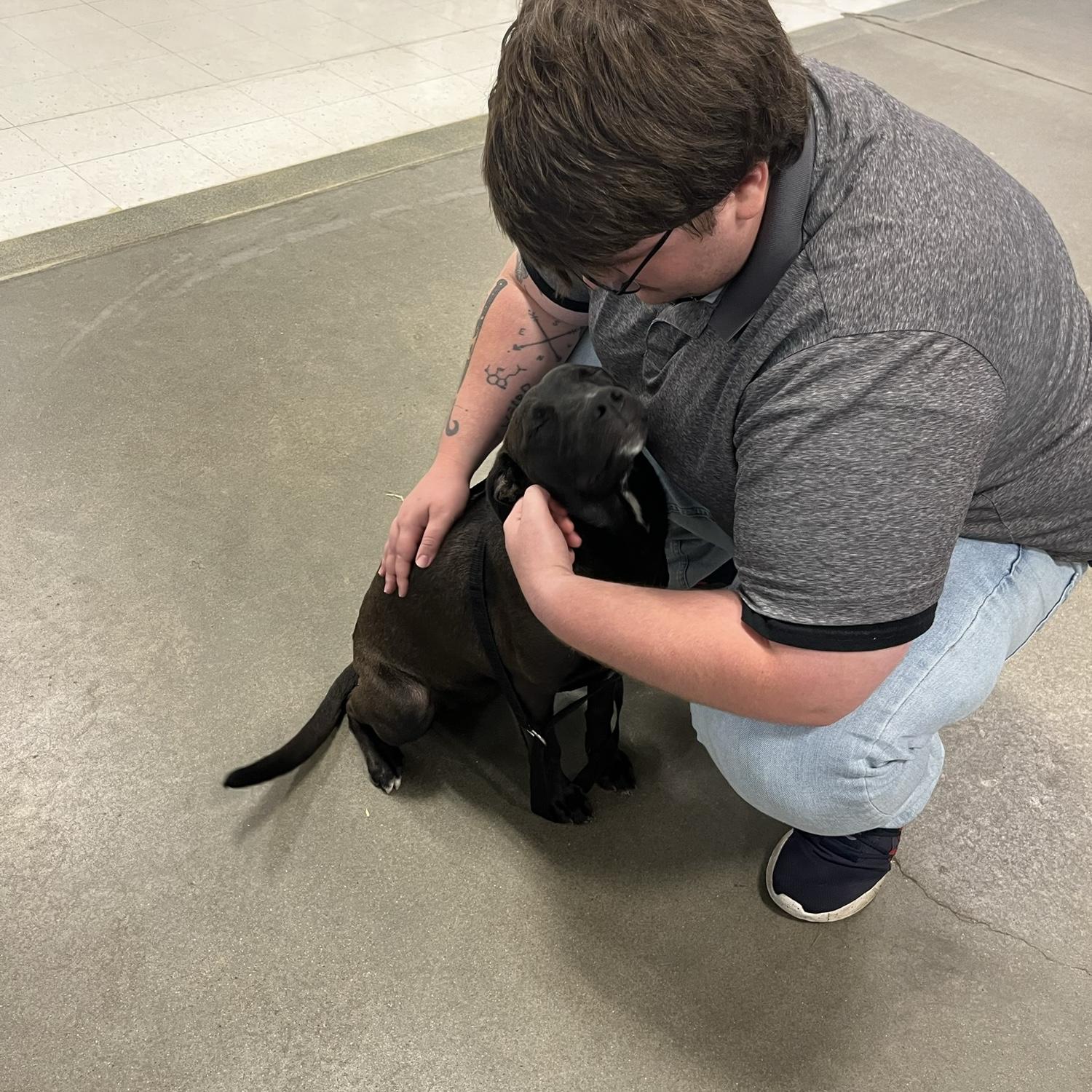 The day we brought Penny home