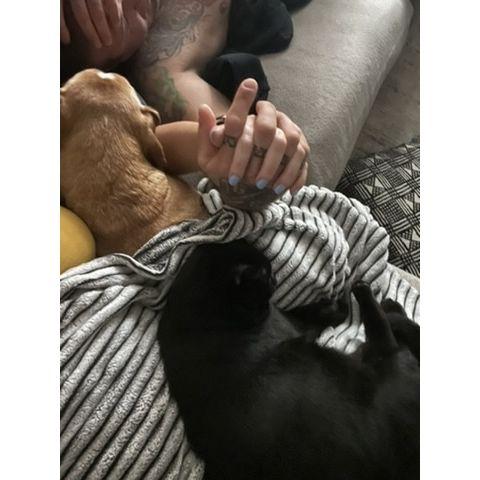 Cuddle Session