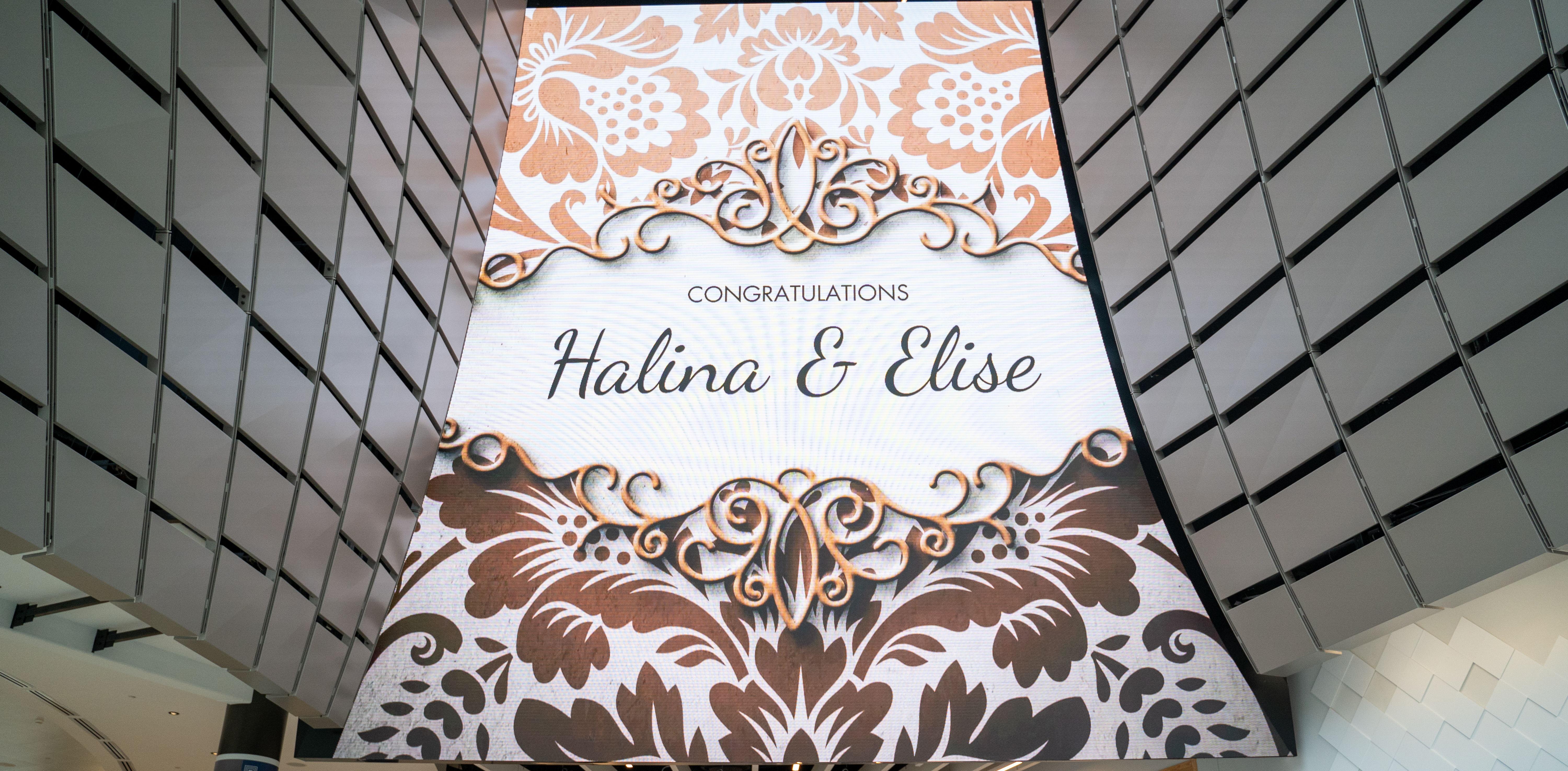 The Wedding Website of Elise Middleton and Halina Malik