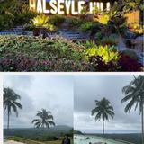 Halseyle Hill Resort