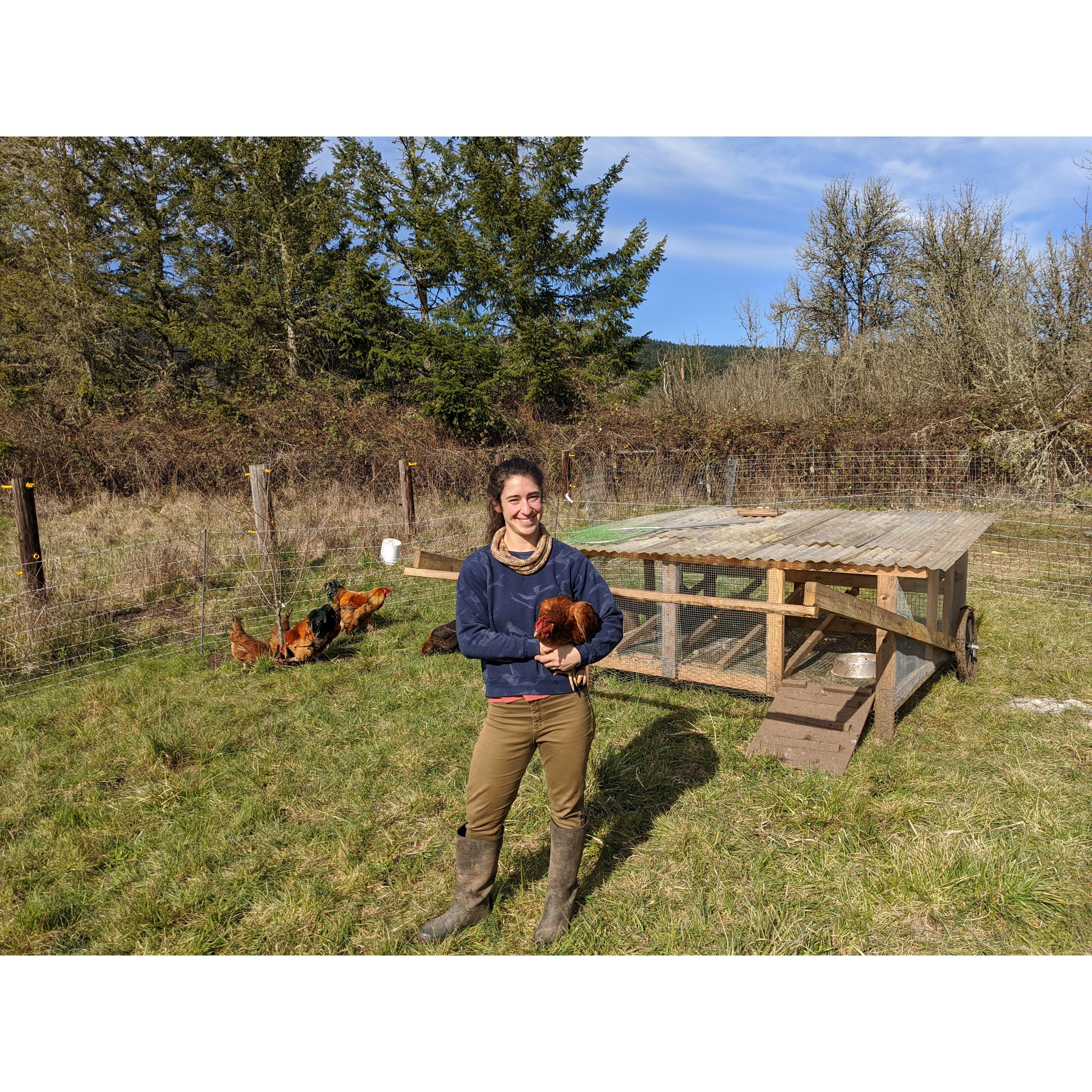 ...built a chicken coop and got some chickens....