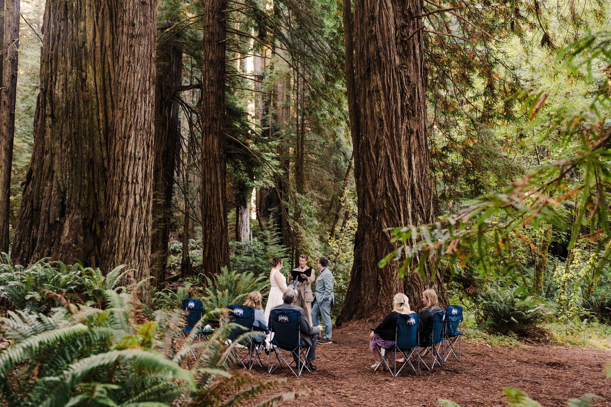 The Wedding Website of Amy Jesionowski and Natalie Ridge