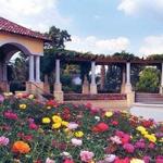 Hollis Garden