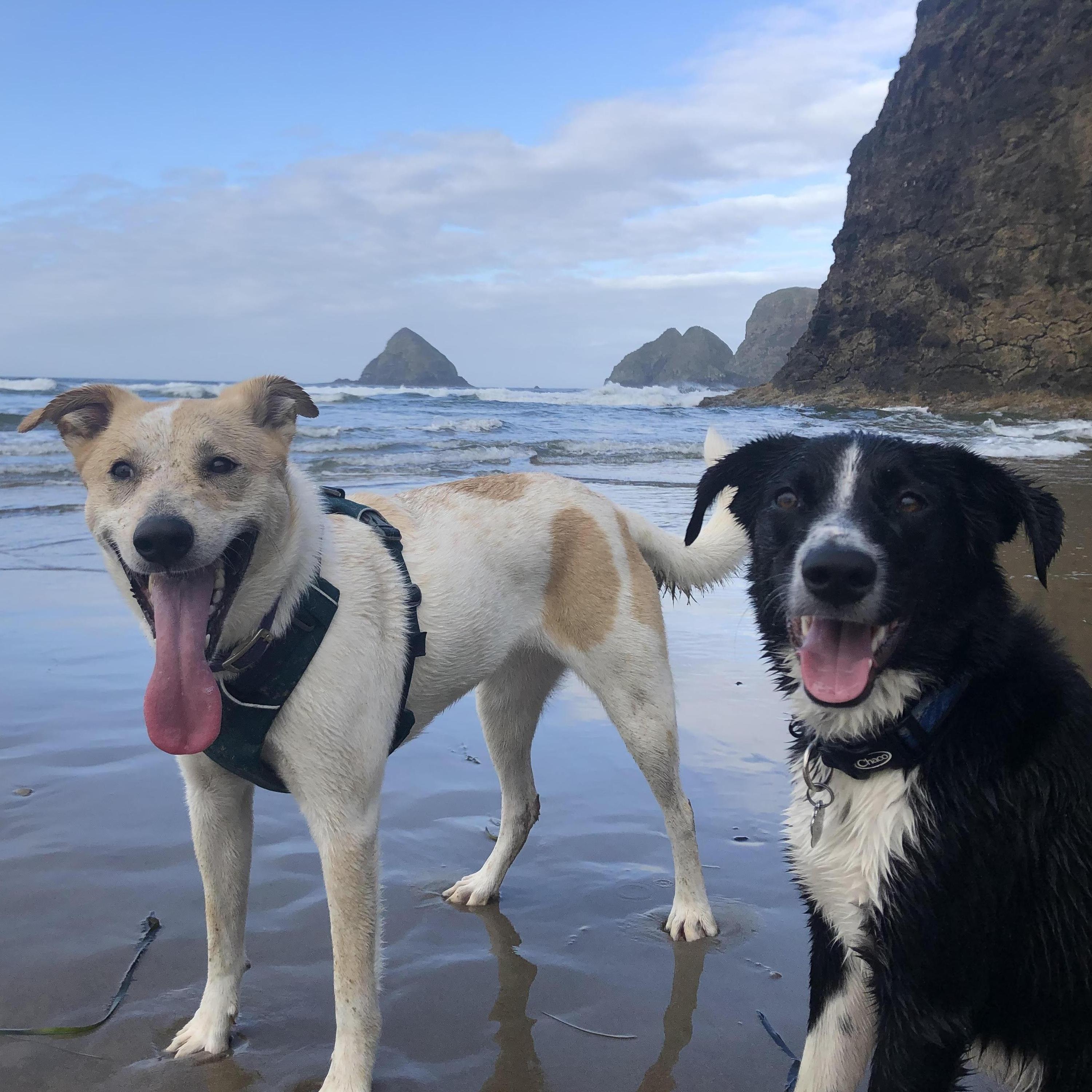 Oregon coast birthday trip!