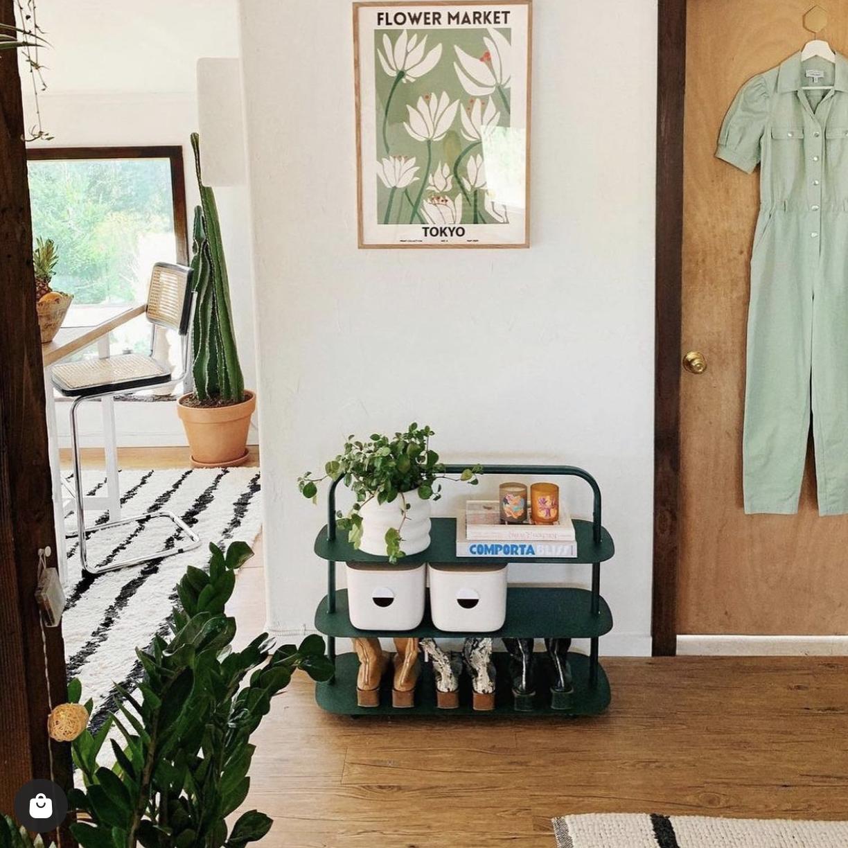 Entry way shelve