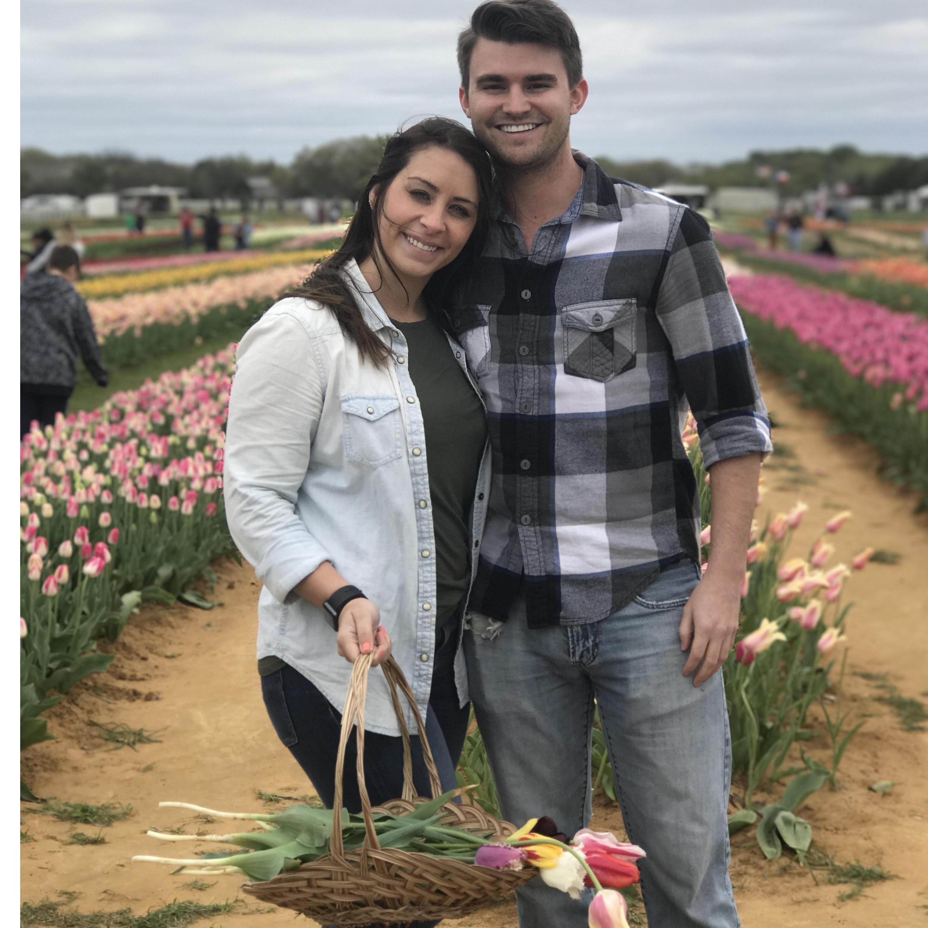Tulip picking!