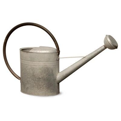 Garden Accents Antique Watering Can Silver 18&#34; - National Tree Company