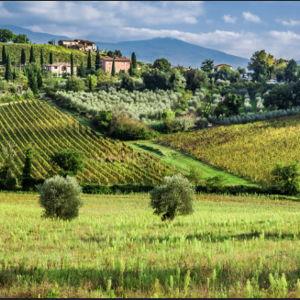 Tuscany Wine Country Day Trip
