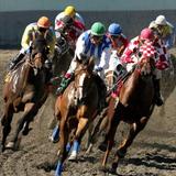 Del Mar Racing