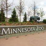 Minnesota Zoo