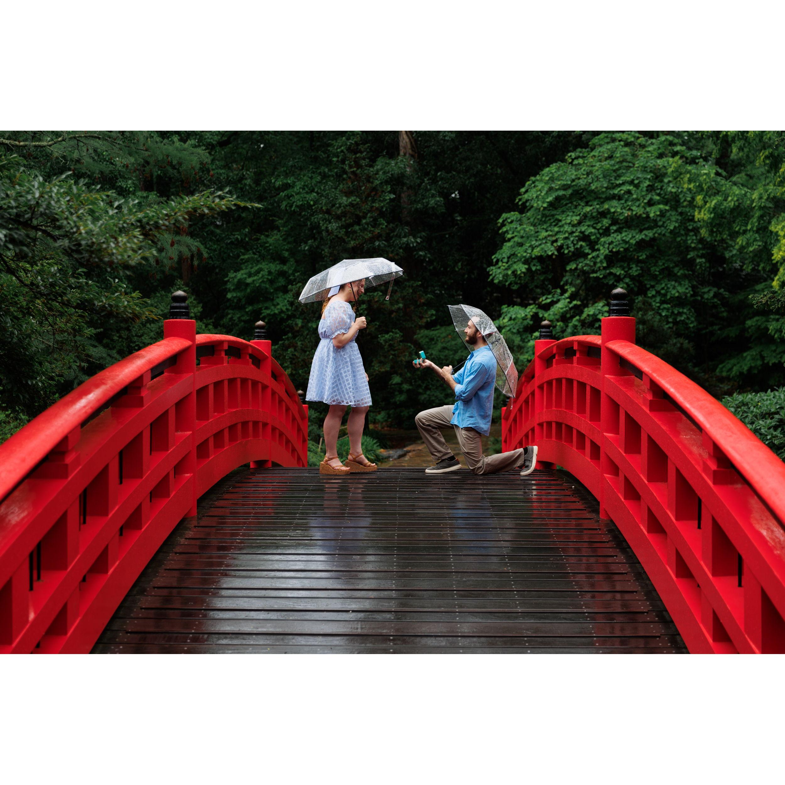 We both loved this bridge, and Jessika cried