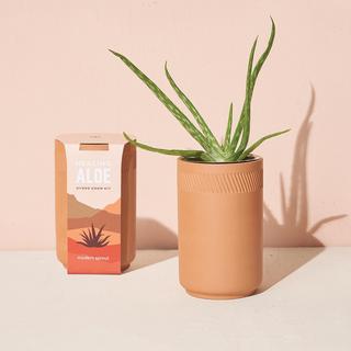 Terracotta Grow Kit