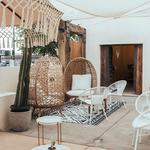 Desert Social