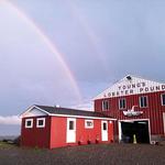 Young's Lobster Pound